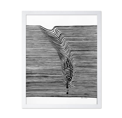 Zebra In Het Veld