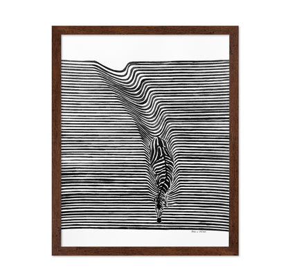 Zebra In Het Veld