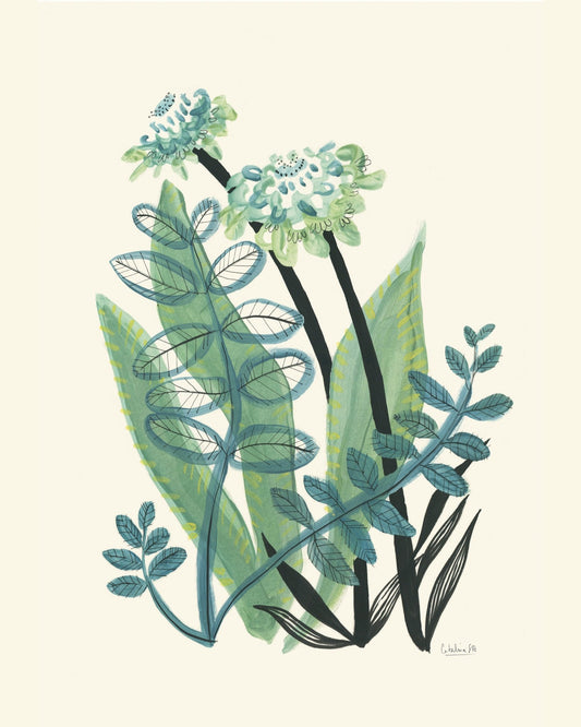 Botanical Bliss