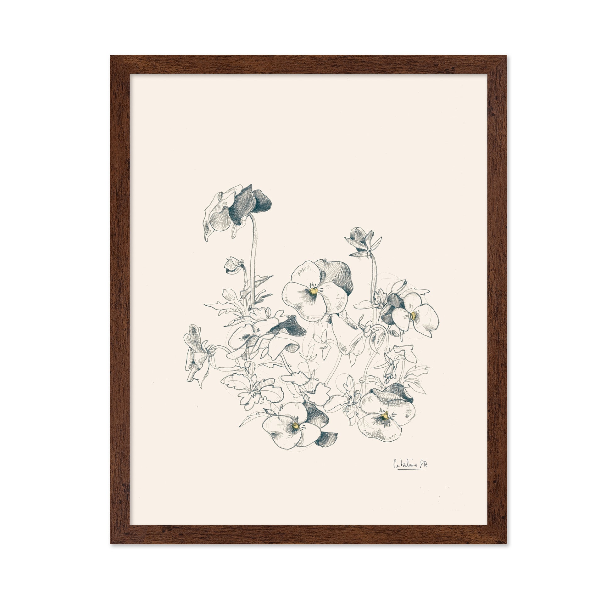Pansies Pencil Drawing