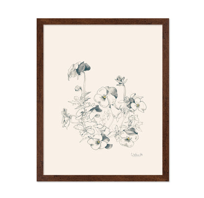 Pansies Pencil Drawing