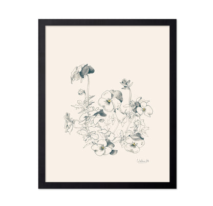 Pansies Pencil Drawing