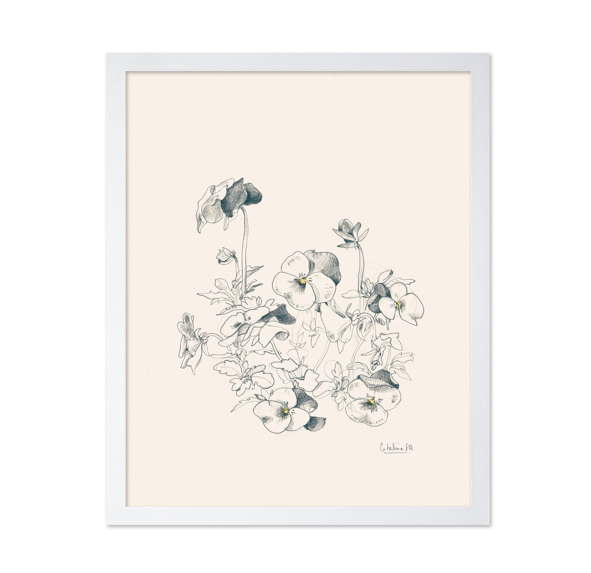 Pansies Pencil Drawing