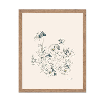 Pansies Pencil Drawing