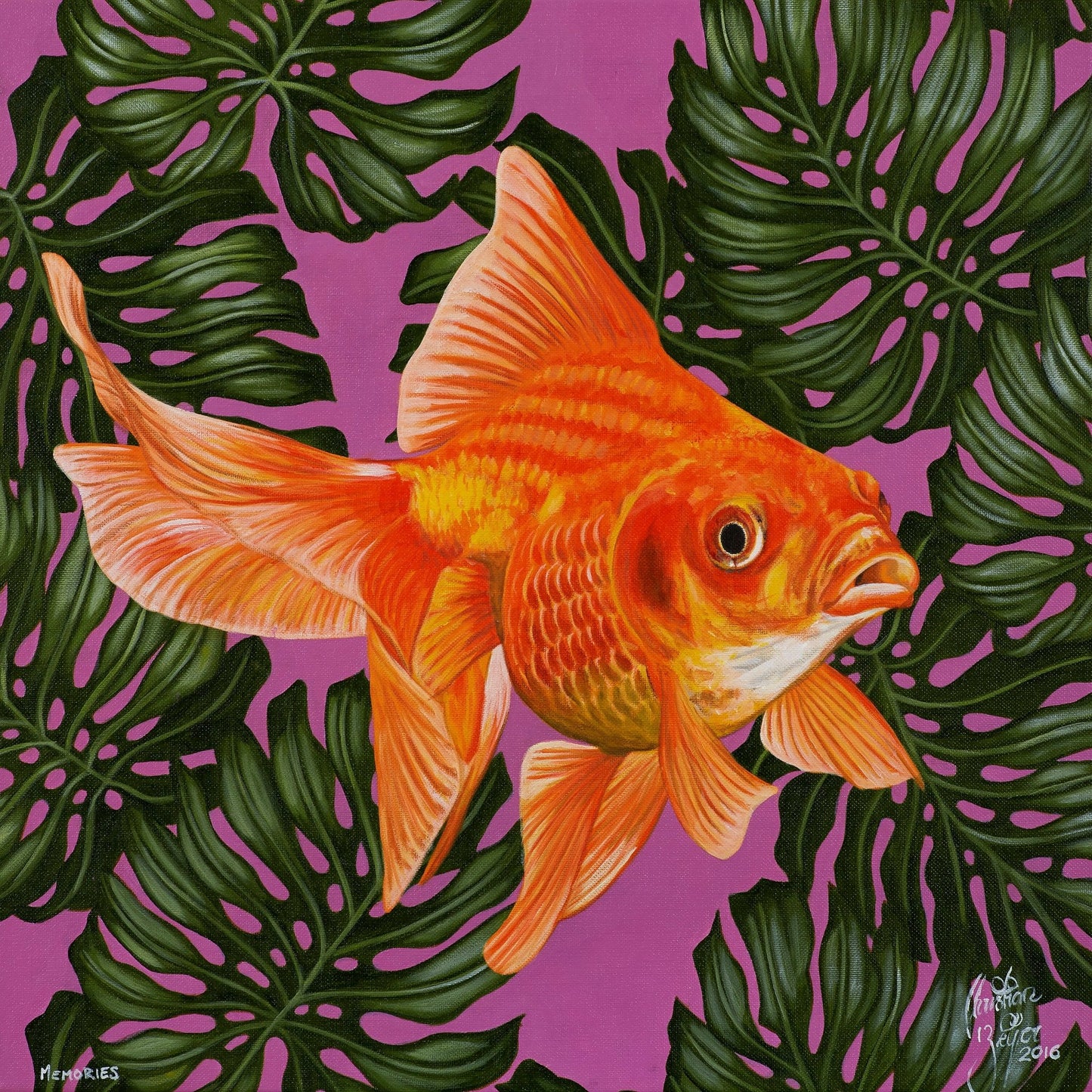 Goldfish and Monstera