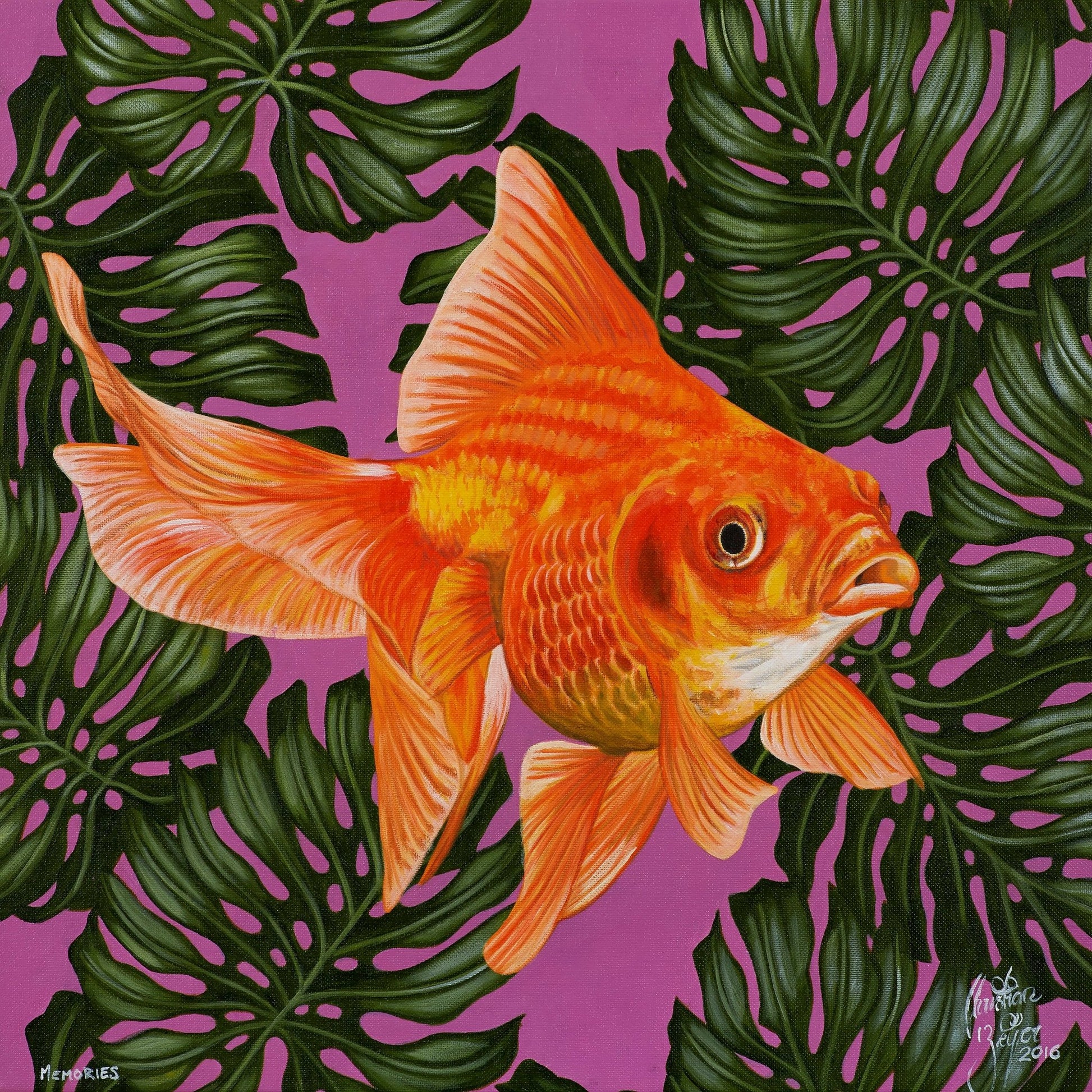 Goldfish and Monstera