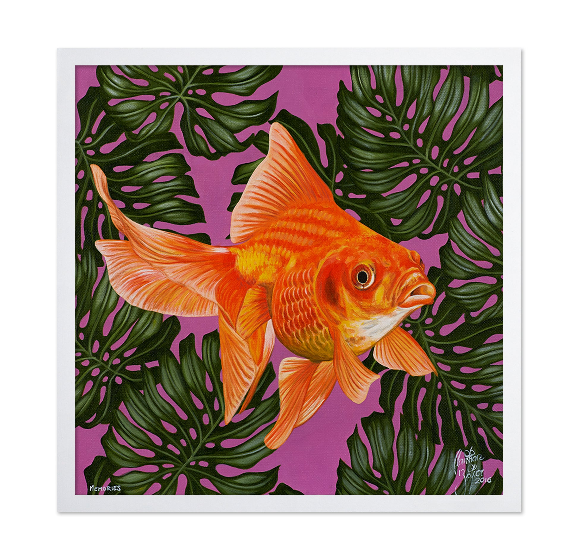 Goldfish and Monstera