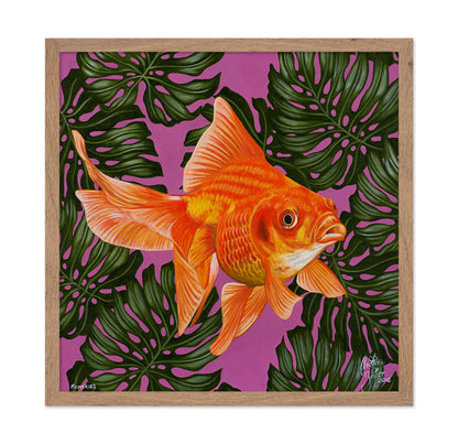 Goldfish and Monstera