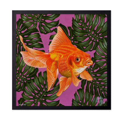 Goldfish and Monstera