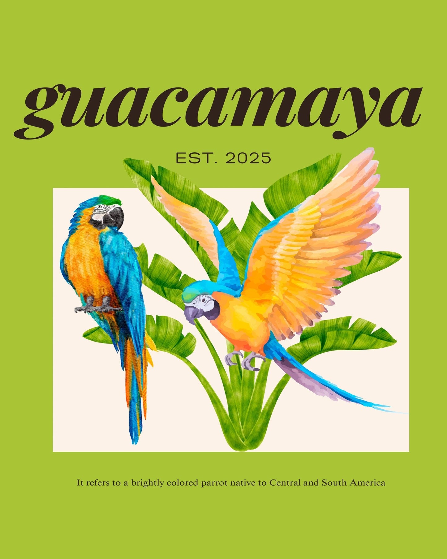Colorful Macaw