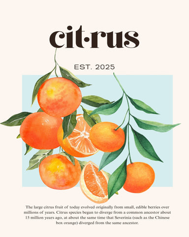 Citrus