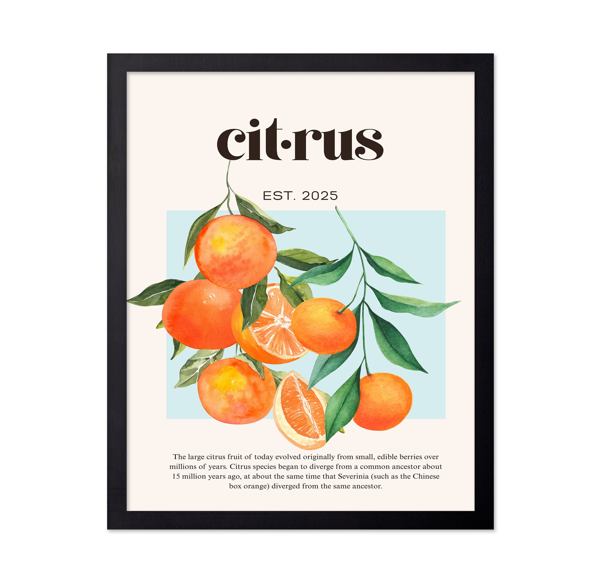 Citrus