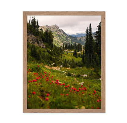 Mount Rainier Paintbrush