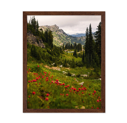 Mount Rainier Paintbrush