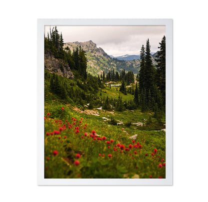 Mount Rainier Paintbrush
