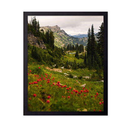 Mount Rainier Paintbrush