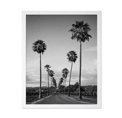 Palm Row