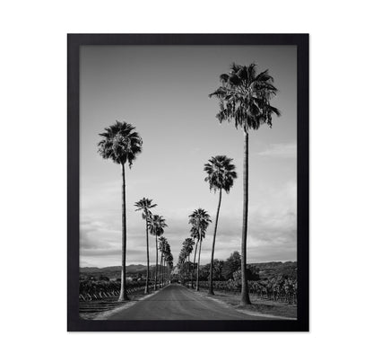 Palm Row