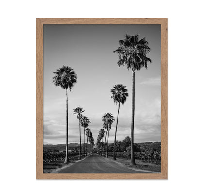 Palm Row