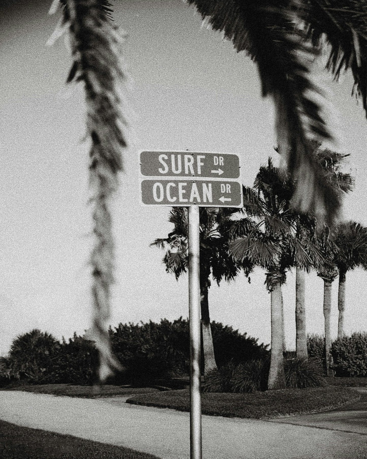 Surf Drive Sign