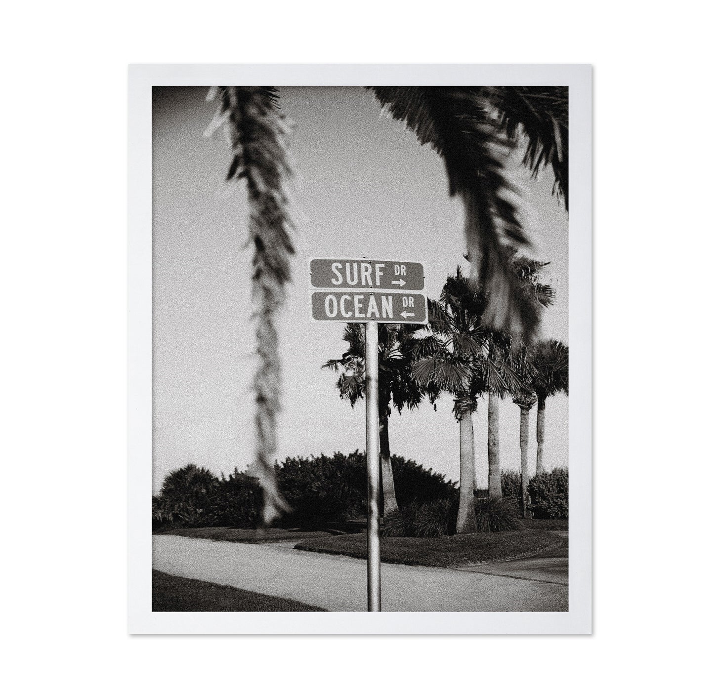 Surf Drive Sign