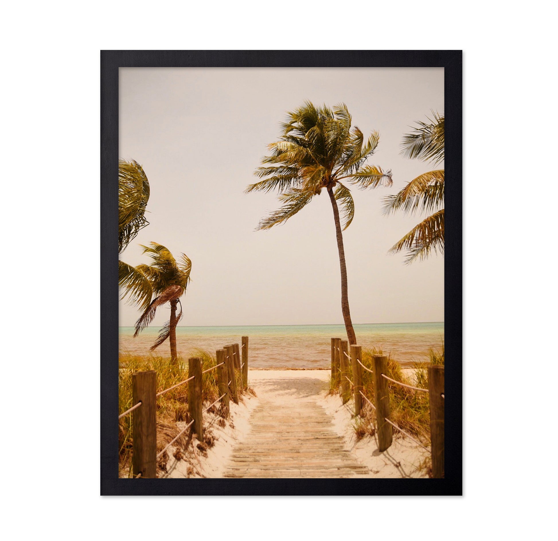 Tropical Paradise Vibes