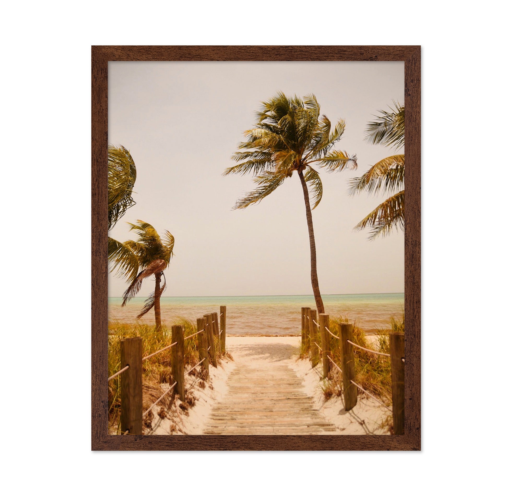 Tropical Paradise Vibes