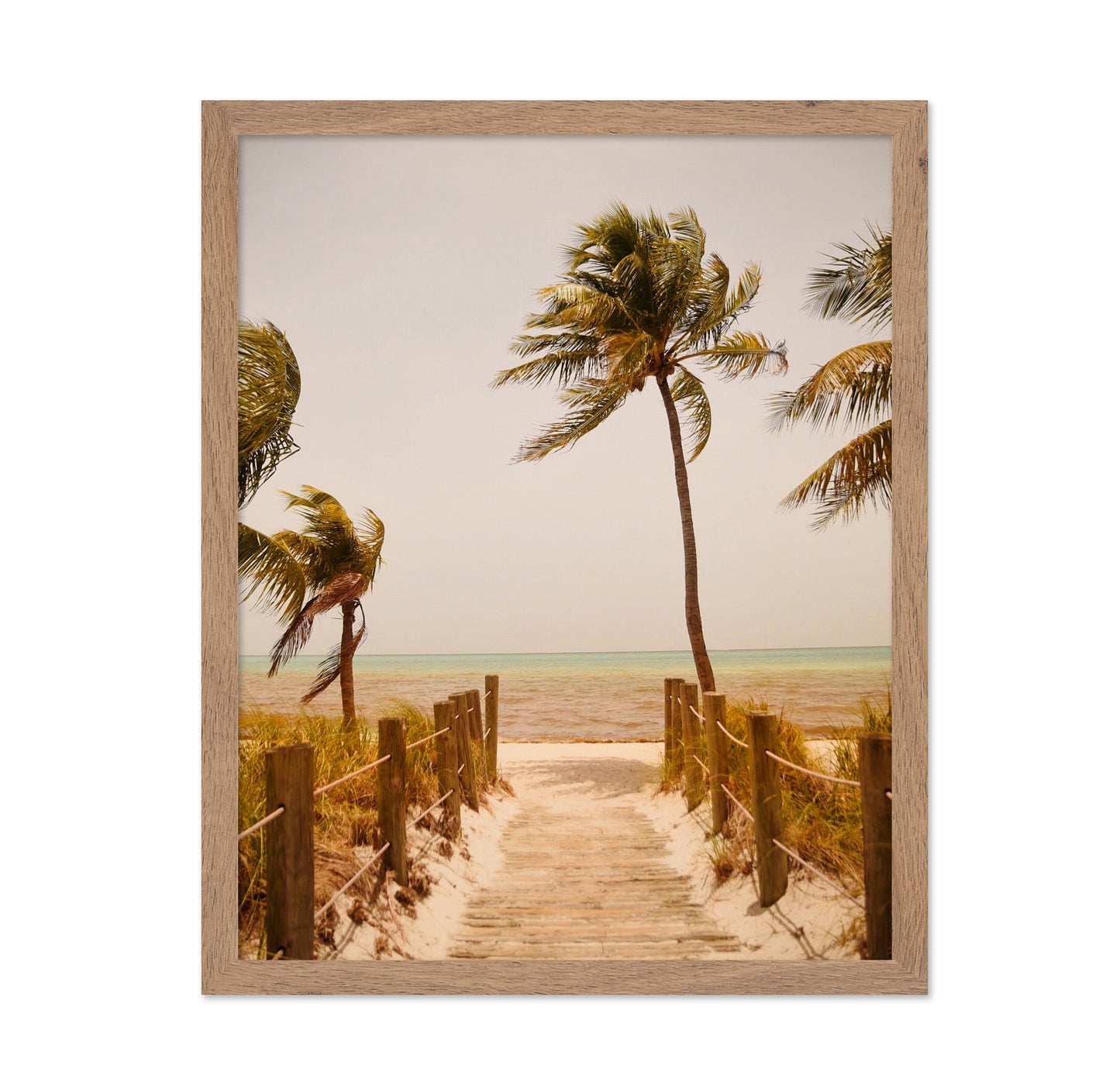 Tropical Paradise Vibes