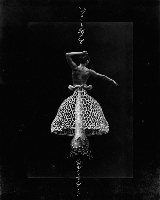 Dance With Me