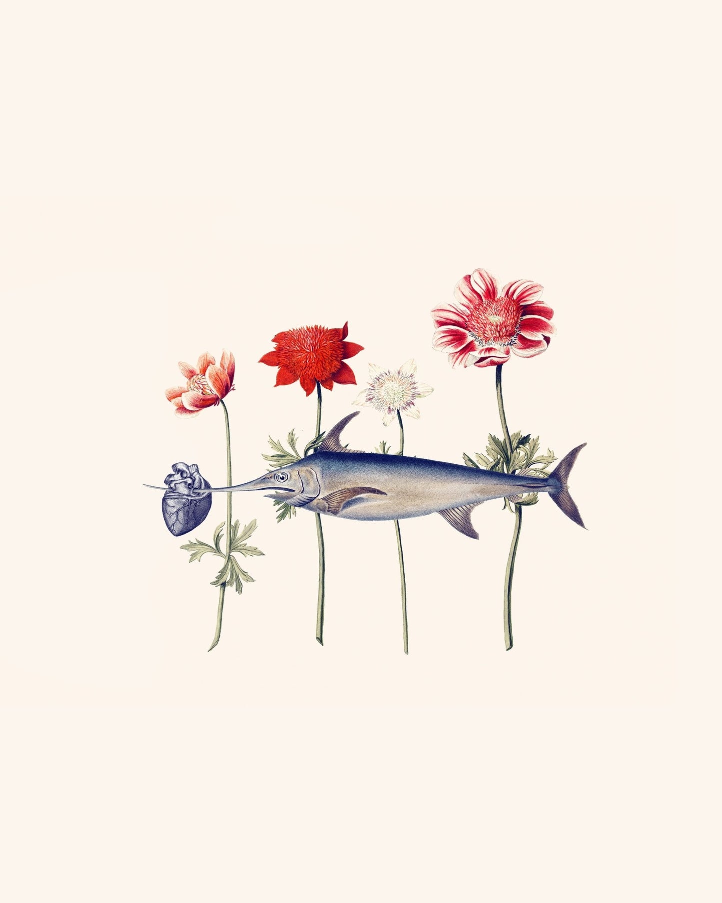 Heart Fish