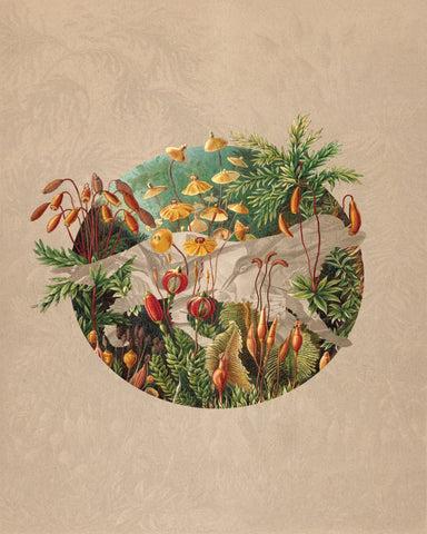 Nature's Embrace