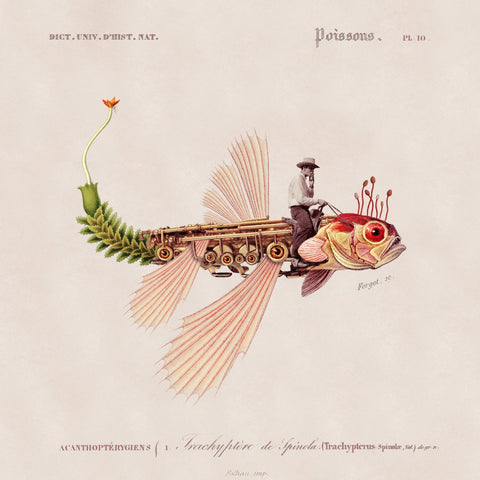 Steampunk Voyager