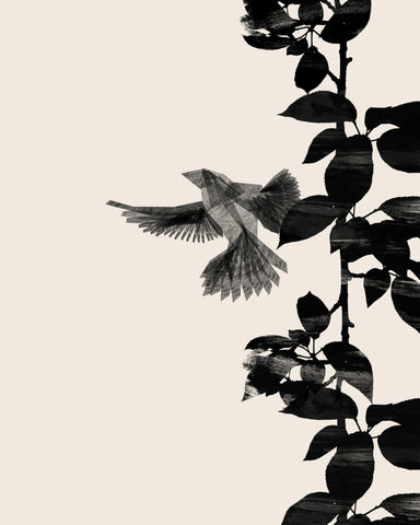 Bird Botanical