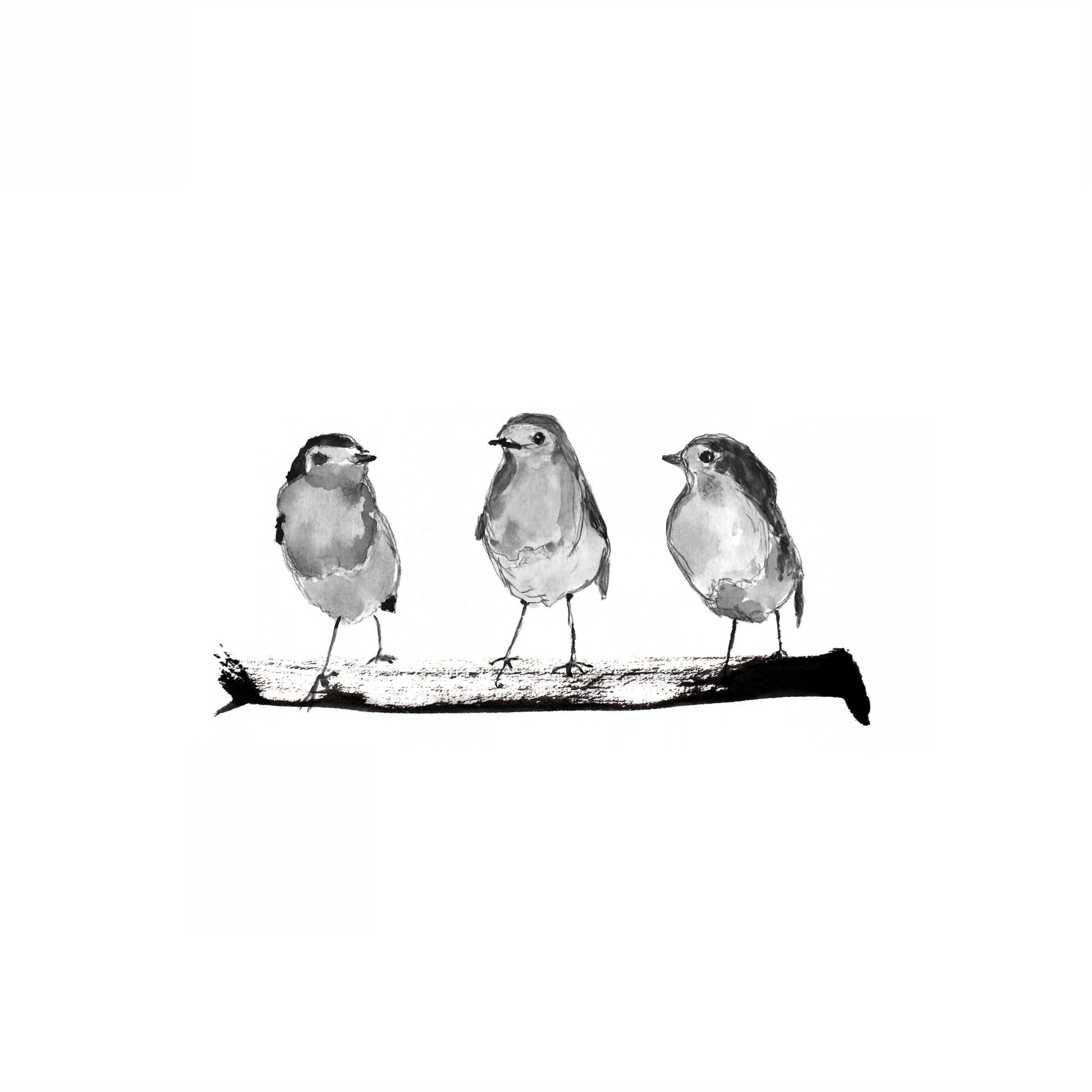 Three Robins on a Branch
