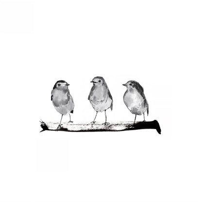 Three Robins on a Branch