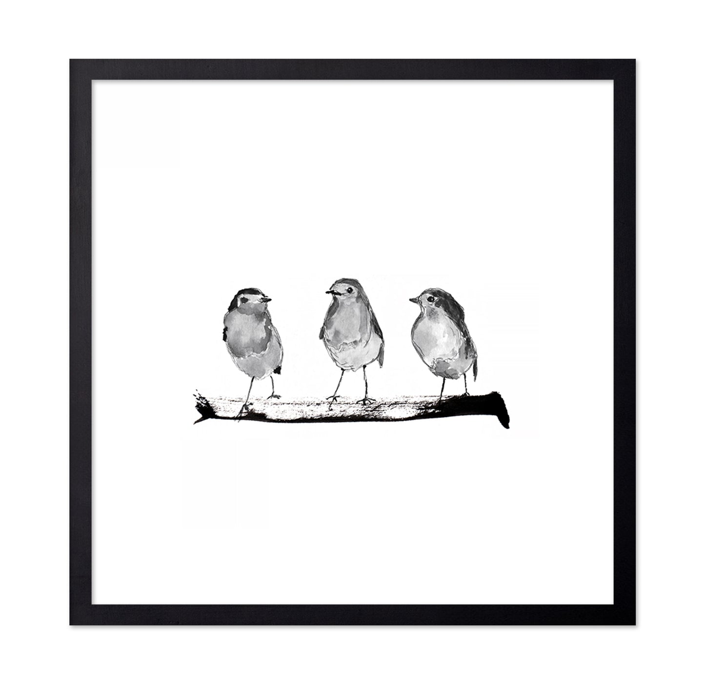Three Robins on a Branch