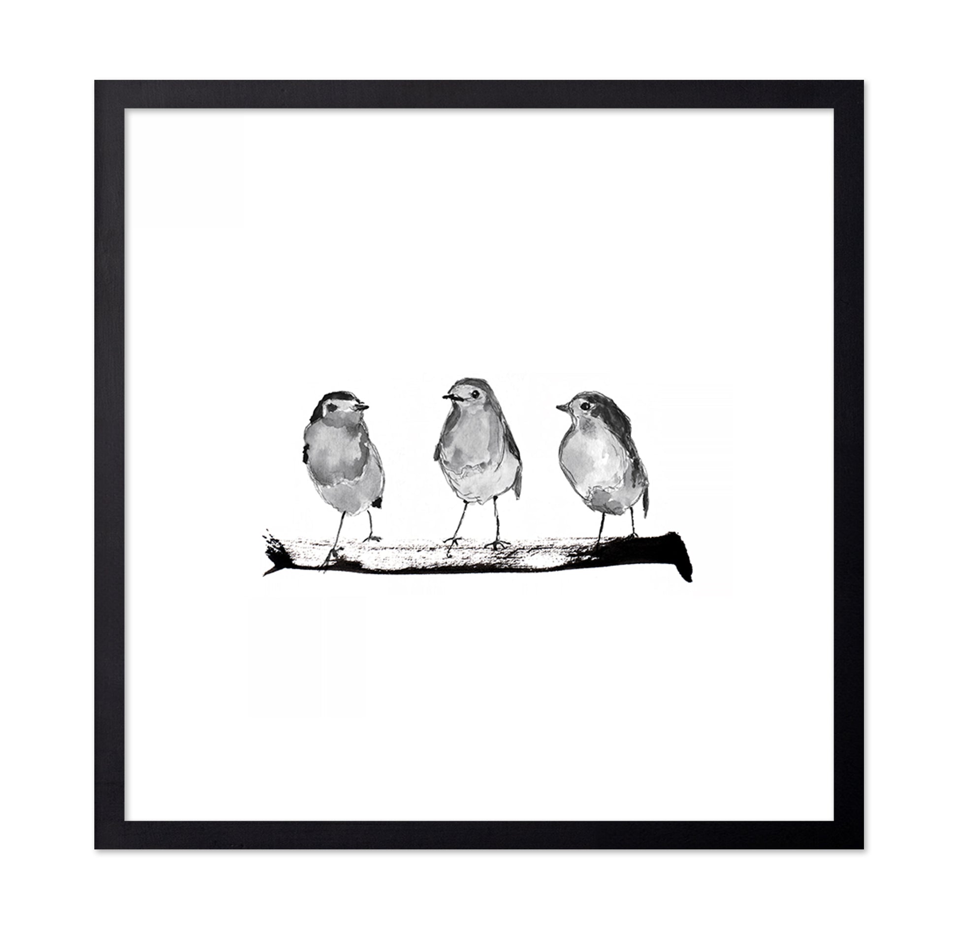 Three Robins on a Branch