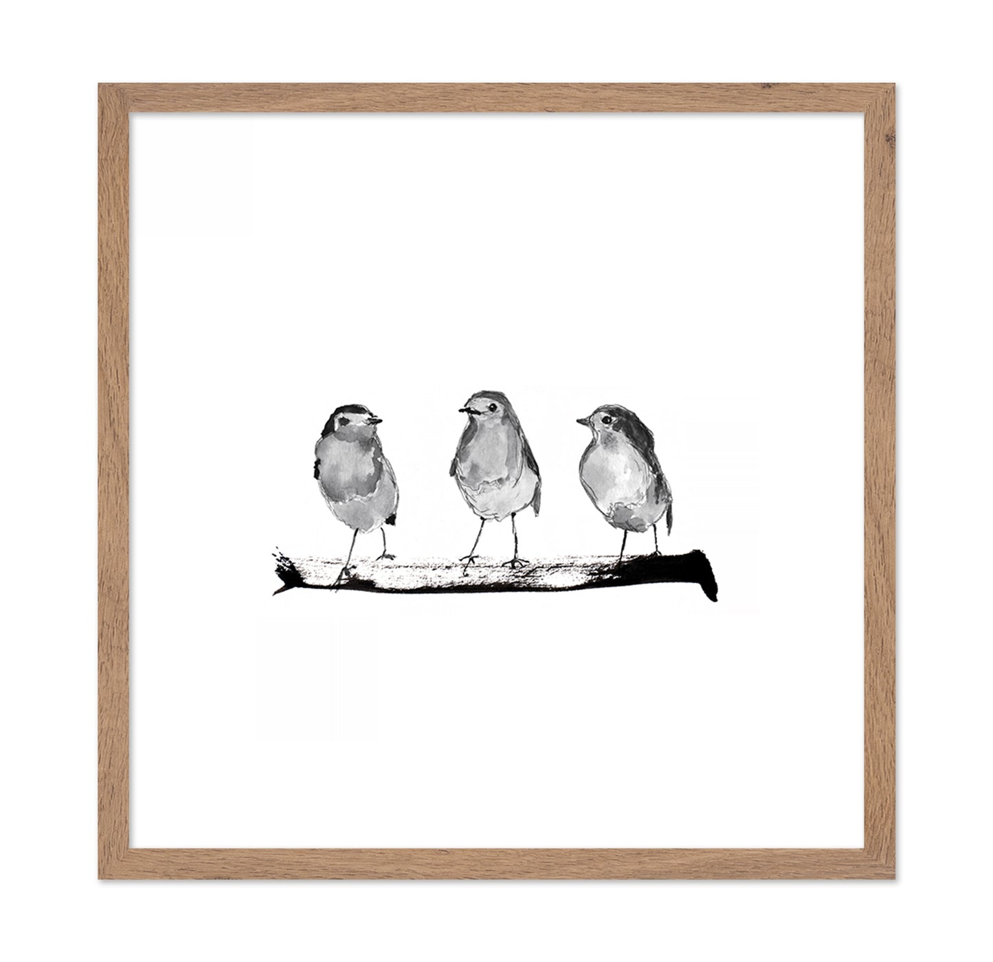 Three Robins on a Branch