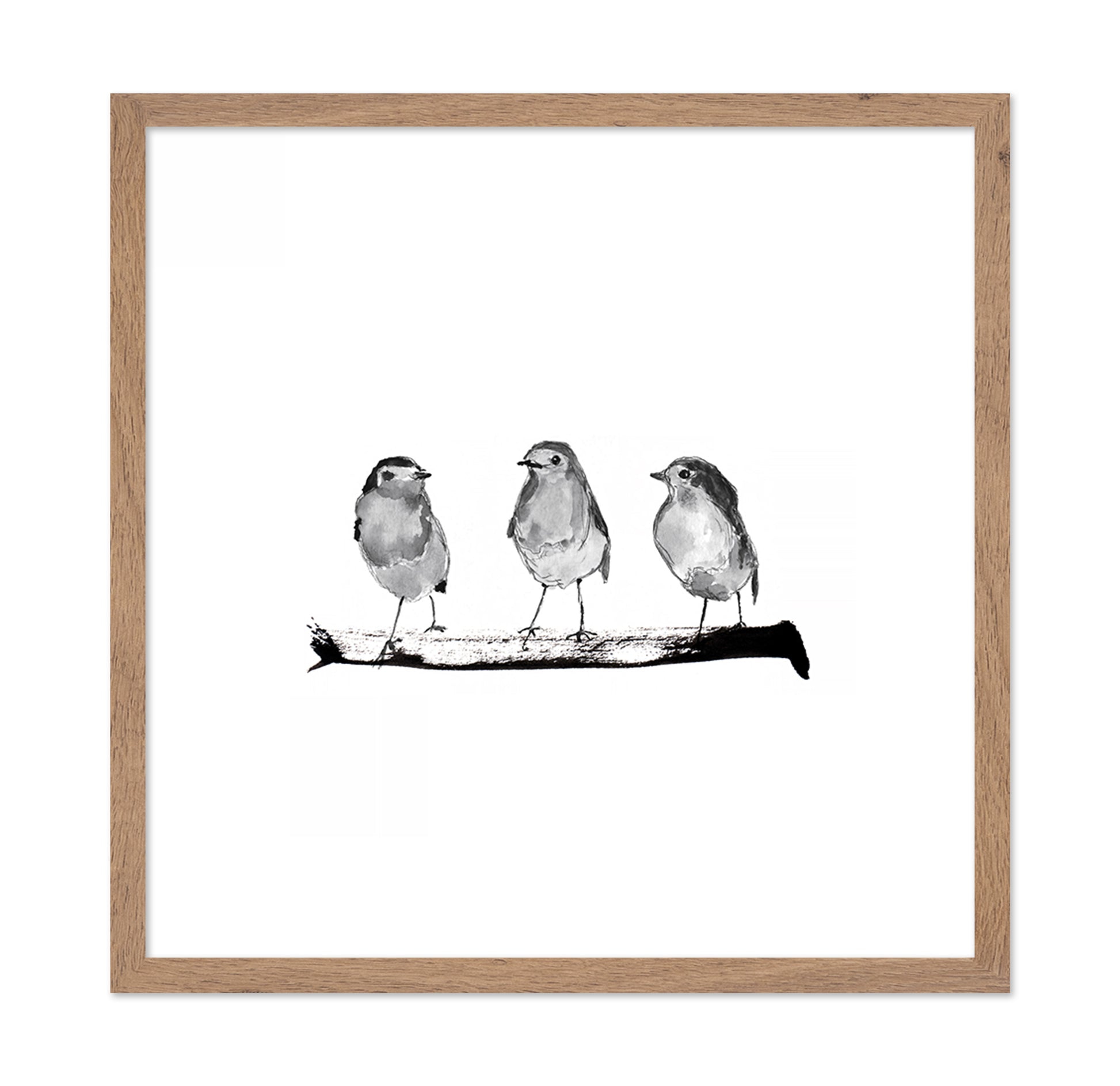 Three Robins on a Branch