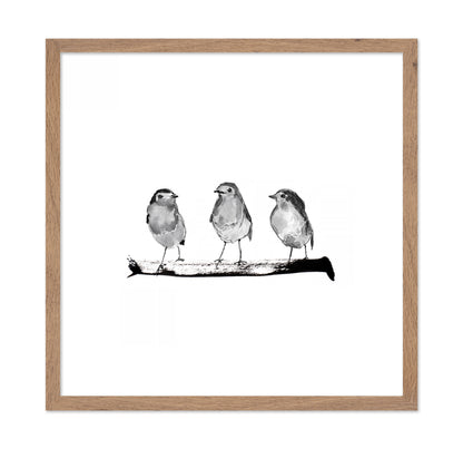 Three Robins on a Branch