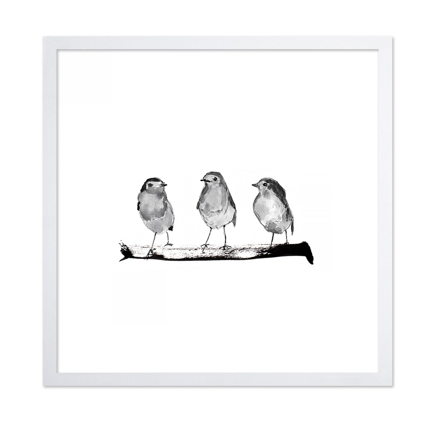 Three Robins on a Branch