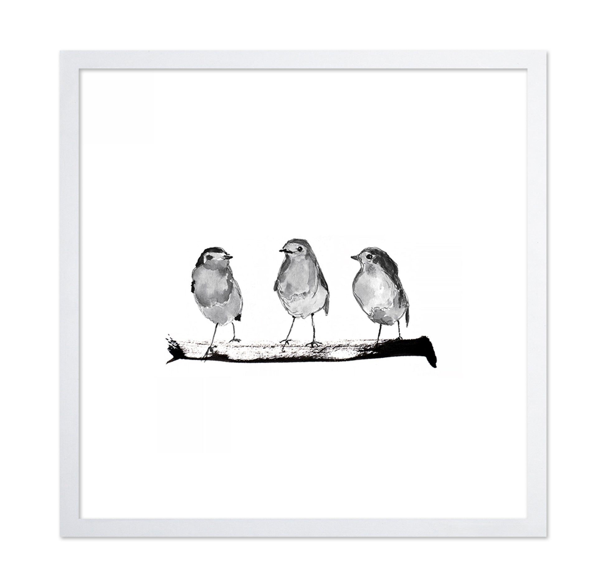 Three Robins on a Branch