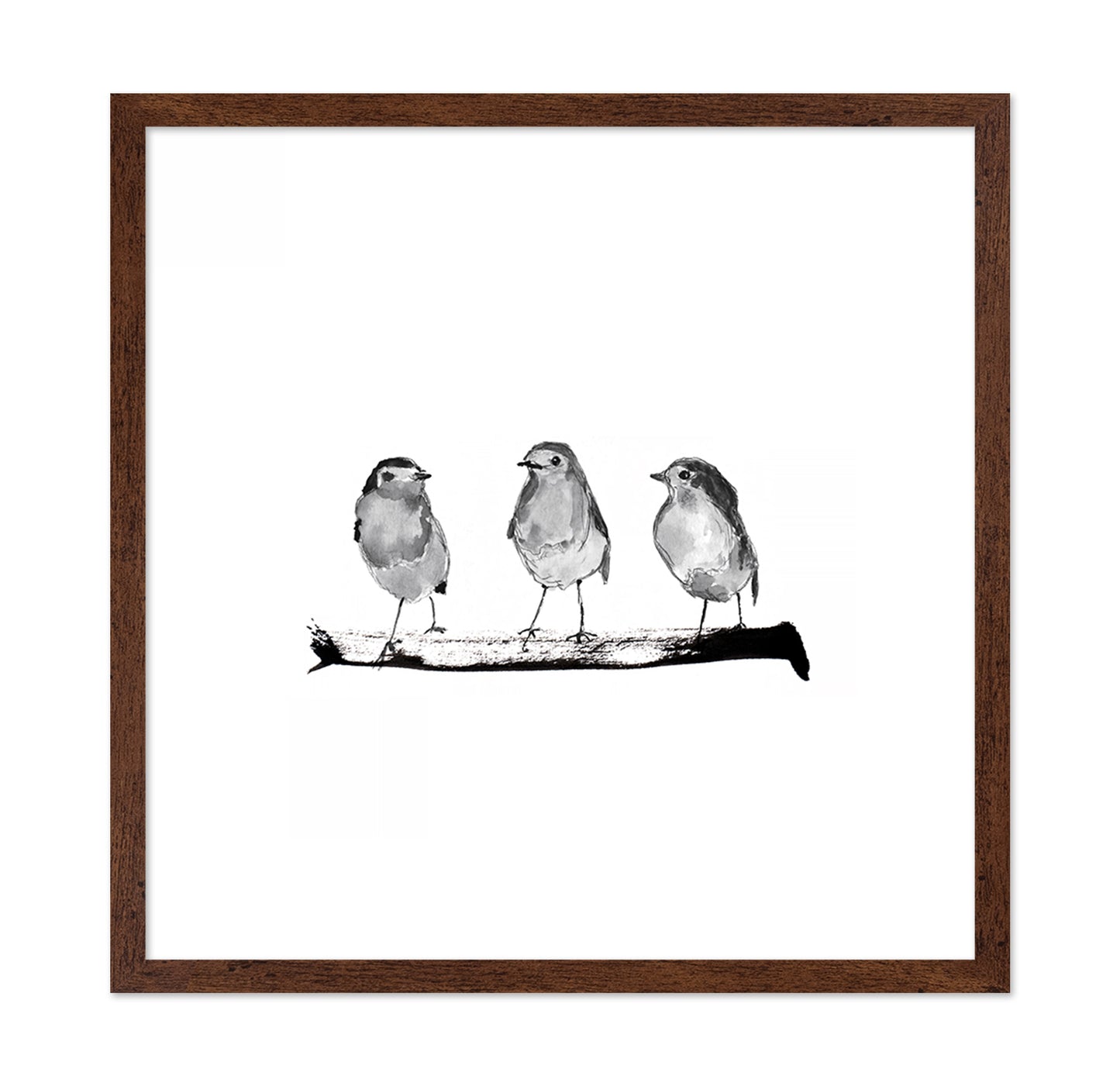 Three Robins on a Branch