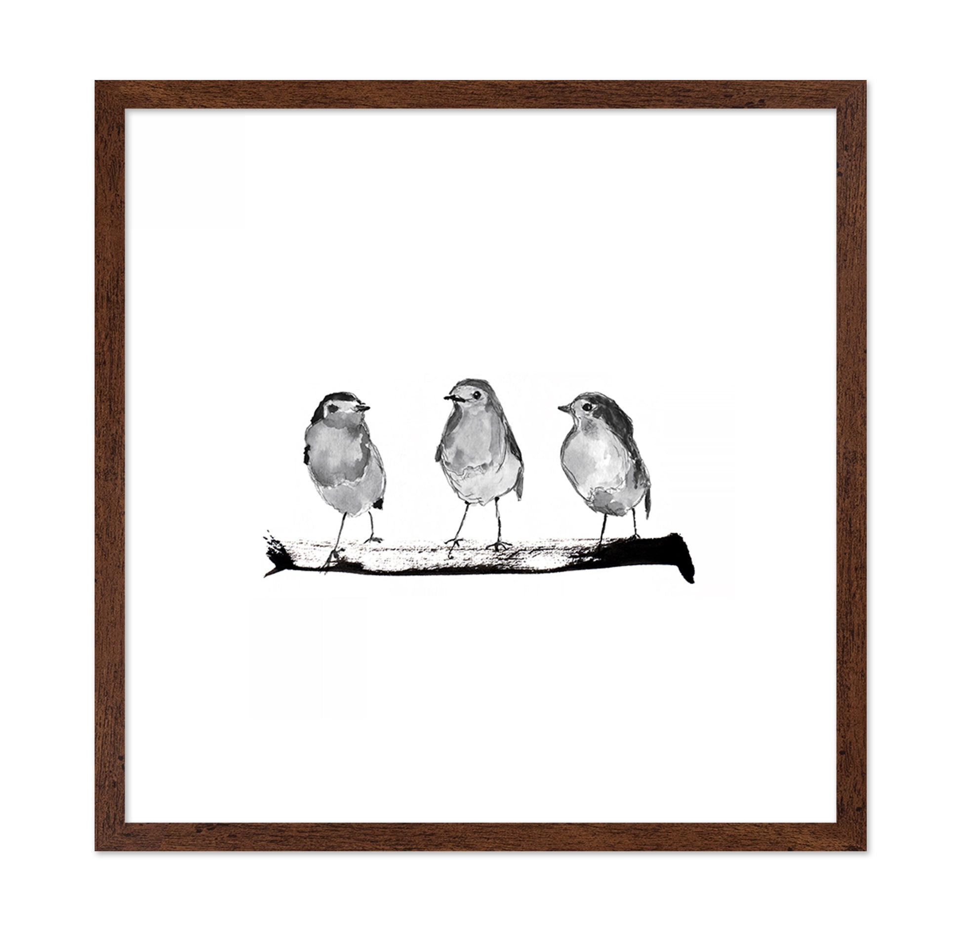 Three Robins on a Branch