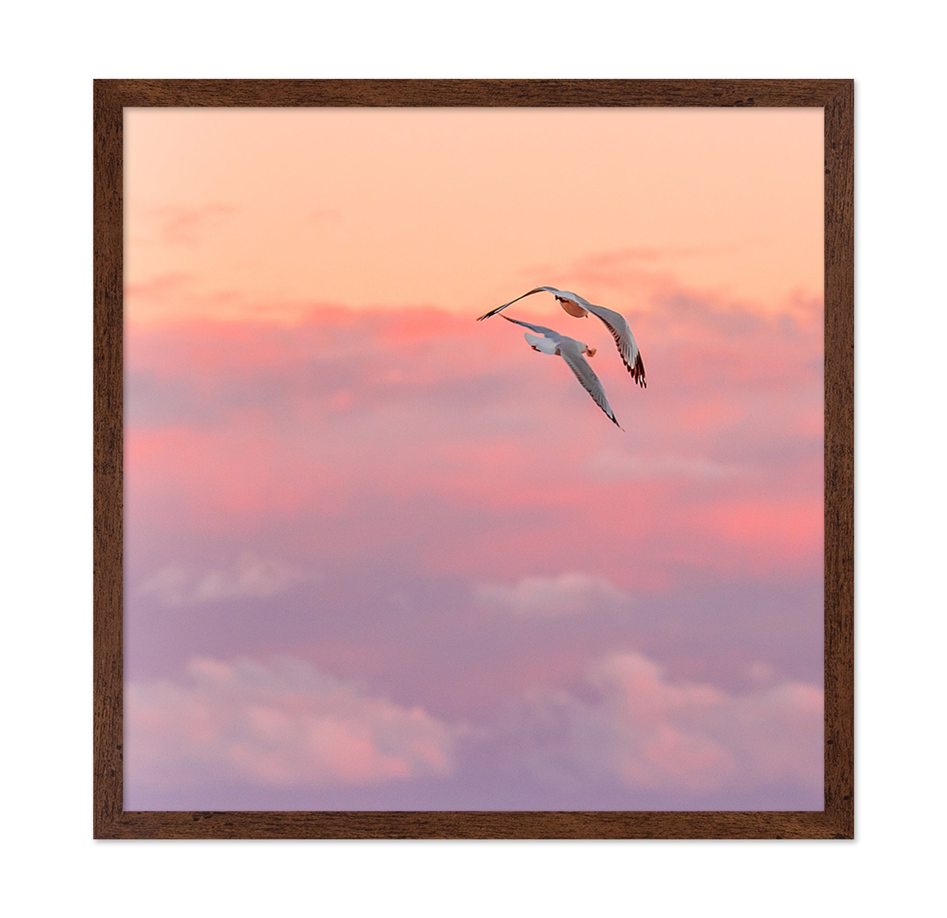 Pastel Sky Bird