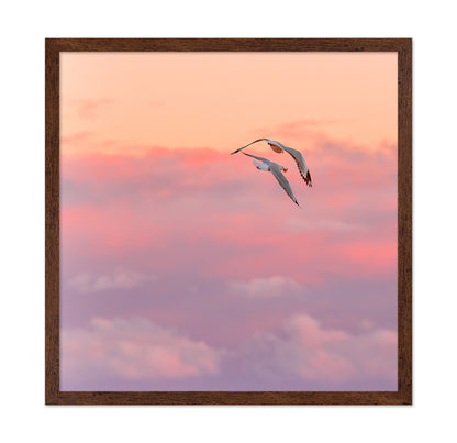 Pastel Sky Bird