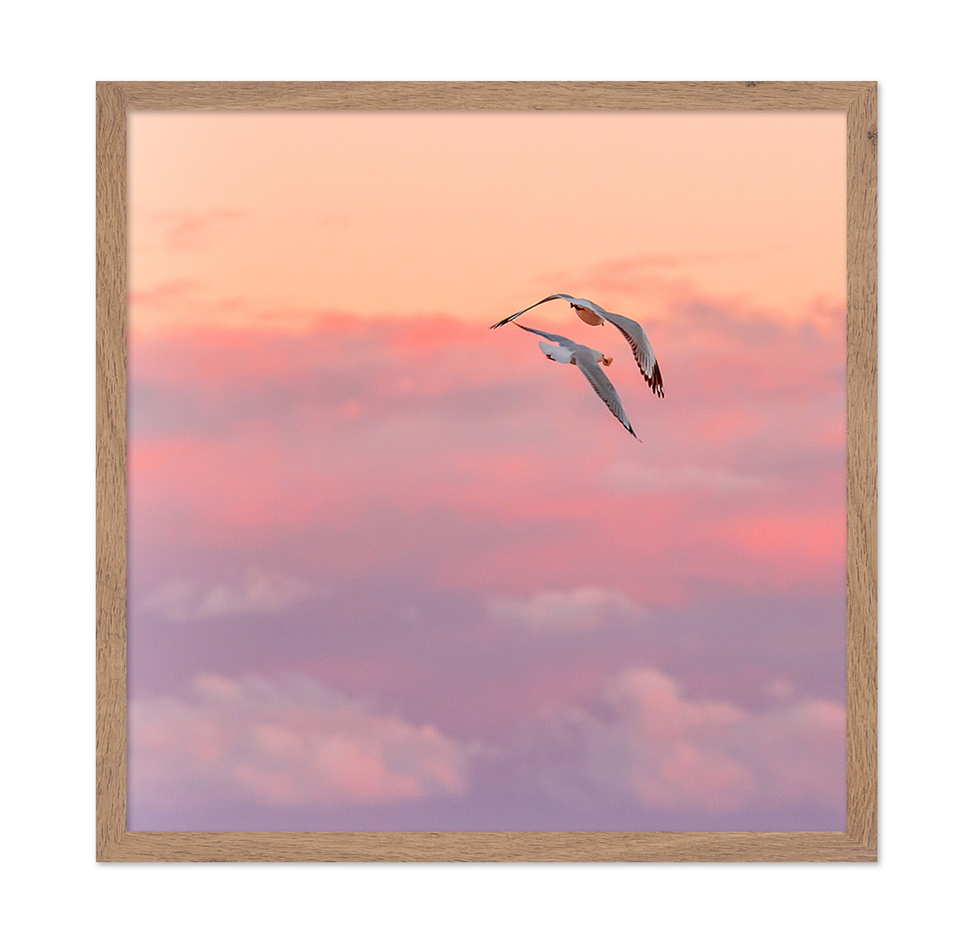 Pastel Sky Bird