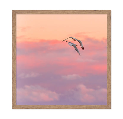 Pastel Sky Bird