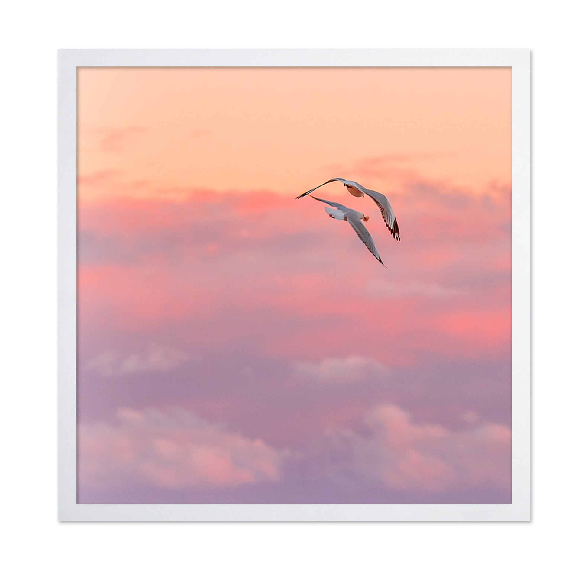Pastel Sky Bird
