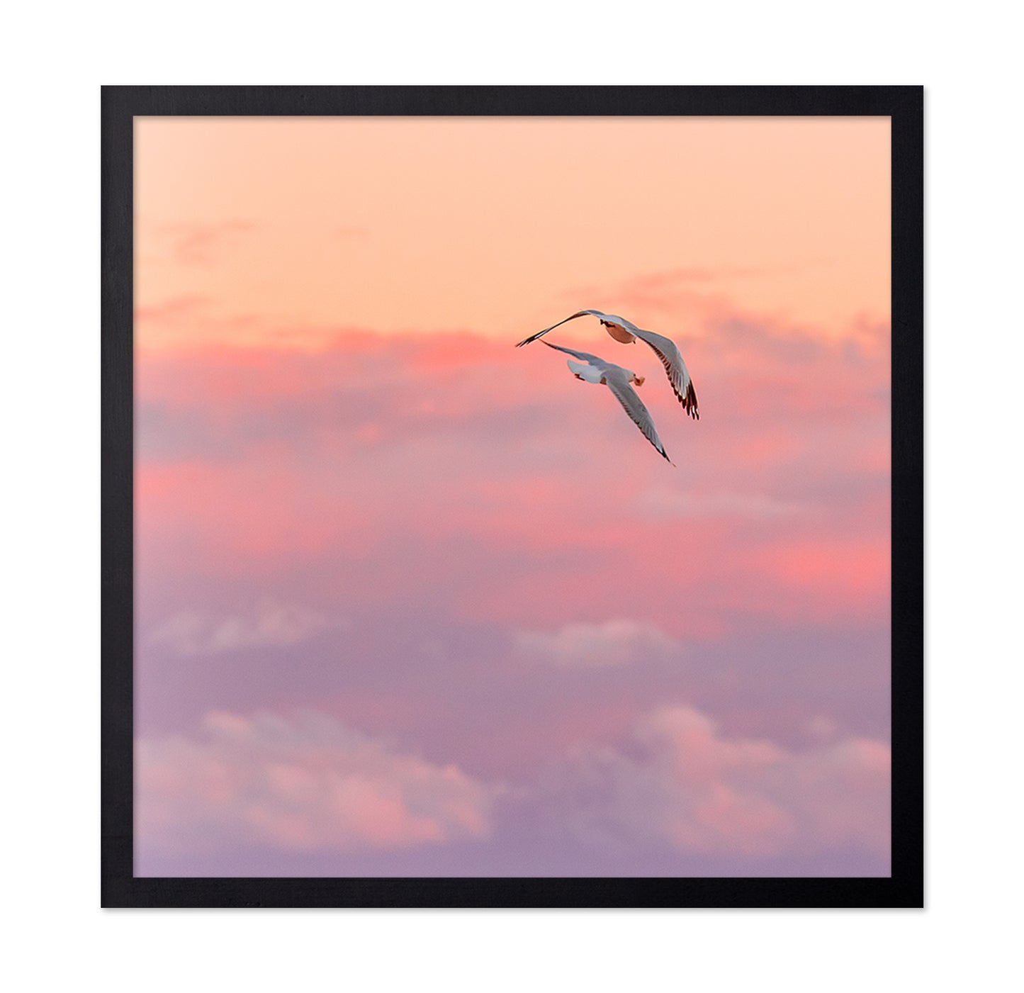 Pastel Sky Bird